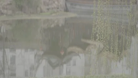 Pavilion Willow Trees Lake China 動画素材 337243603
