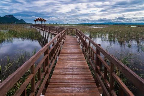 A pavillion overlooking a marsh in sam roi yod national park, prachuap khiri  Stock Photos