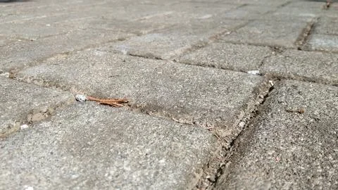 Paving block close up texture Stock Photos