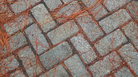 Paving block floor in the background Stock Photos