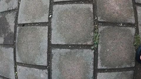 Paving block Stock Footage 289688099