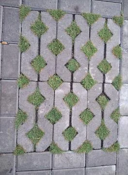 Paving block Stock Photos