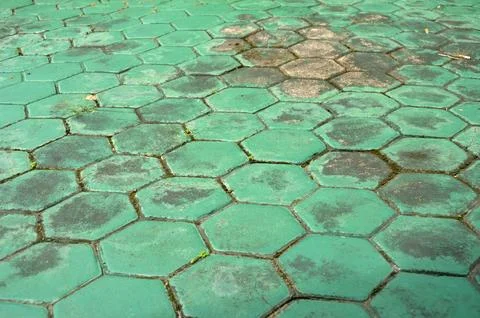 Paving block 写真素材