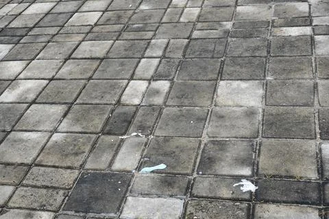 Paving block 写真素材
