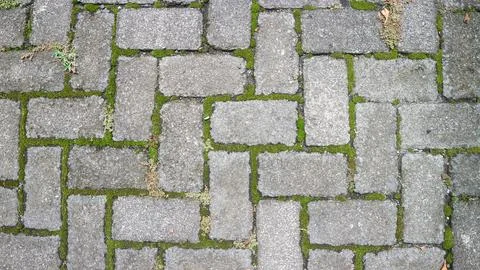Paving block texture for background Stock Photos