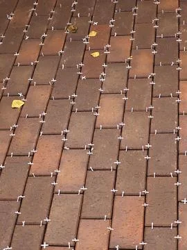 Paving bricks with tile spacers during renovation Stock Photos