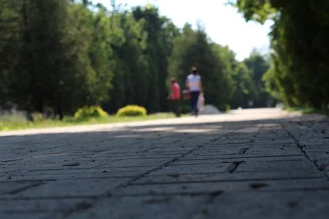 Paving city 库存照片