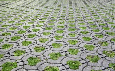 Paving gray curly tile background with grass. Stock Photos