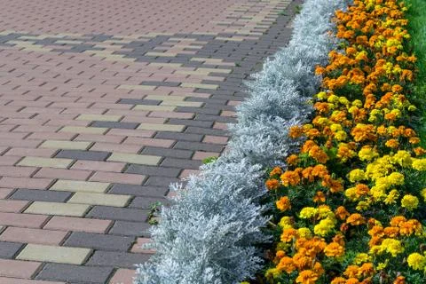 Paving pattern with rectangular shape and brown color. 스톡 사진