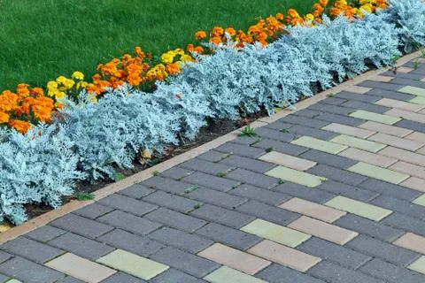 Paving pattern with rectangular shape and brown color. Stock Photos