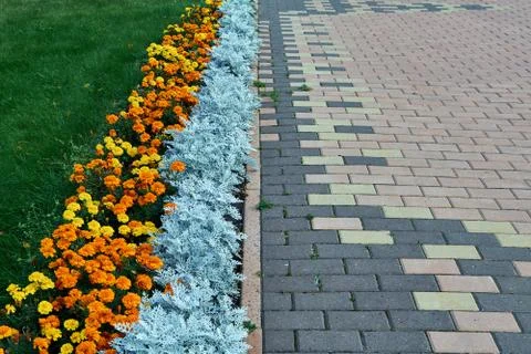 Paving pattern with rectangular shape and brown color. Stock Photos