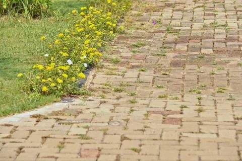 Paving Stock Photos