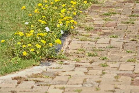 Paving Foto stock