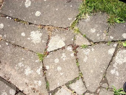 Paving Slab Background Stock Photos