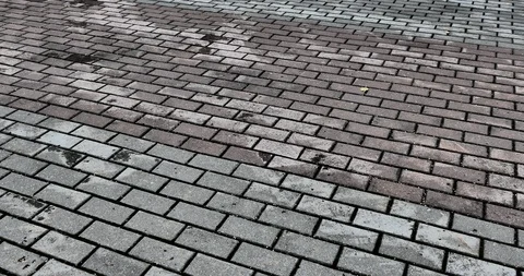 Paving slab. Stock-Footage 116427233