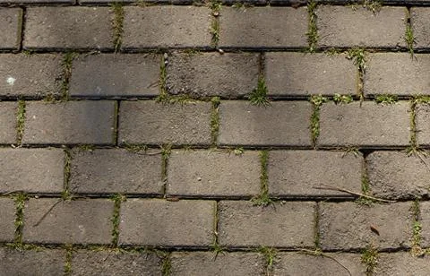 Paving slab Stock-Fotos