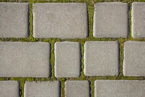 Paving slabs, grass. Background, texture. Stock Photos