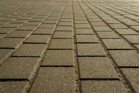 Paving slabs in the rays in warm evening colors Stock Photos