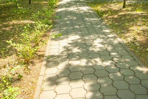 Paving slabs with sClose-up of an interlocking concrete-paver walkway with le 스톡 사진