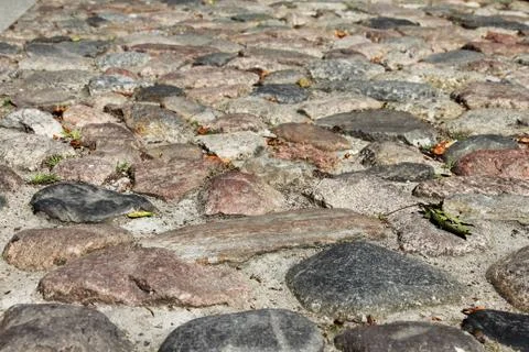 Paving stone background Stock Photos