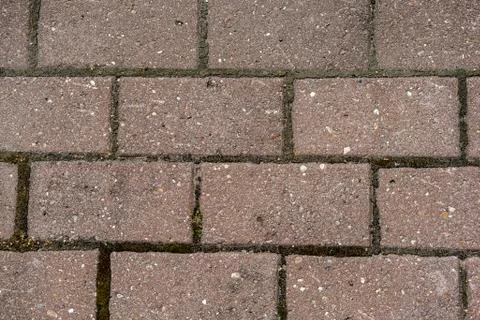 Paving stone background. Stock Photos