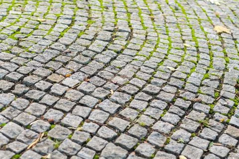 Paving stone close-up. Stock Photos