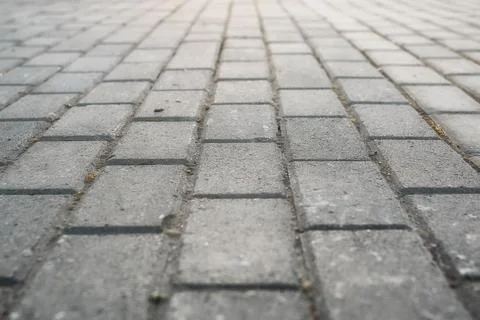 Paving stone path goes away the prospect in sunset Stock Photos