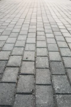 Paving stone path goes away the prospect in sunset Stock Photos