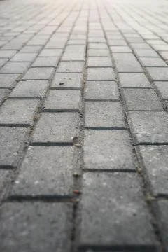 Paving stone path goes away the prospect in sunset Stock Photos