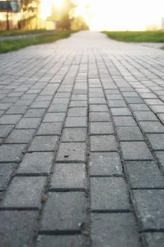 Paving stone path goes away the prospect in sunset Stock Photos