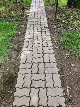 Paving stone path Stock Photos