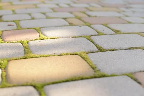 Paving stone Stock Photos