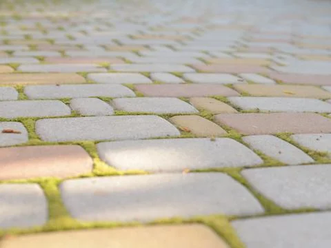 Paving stone Stock Photos