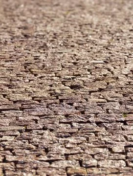 Paving stone Stock Photos