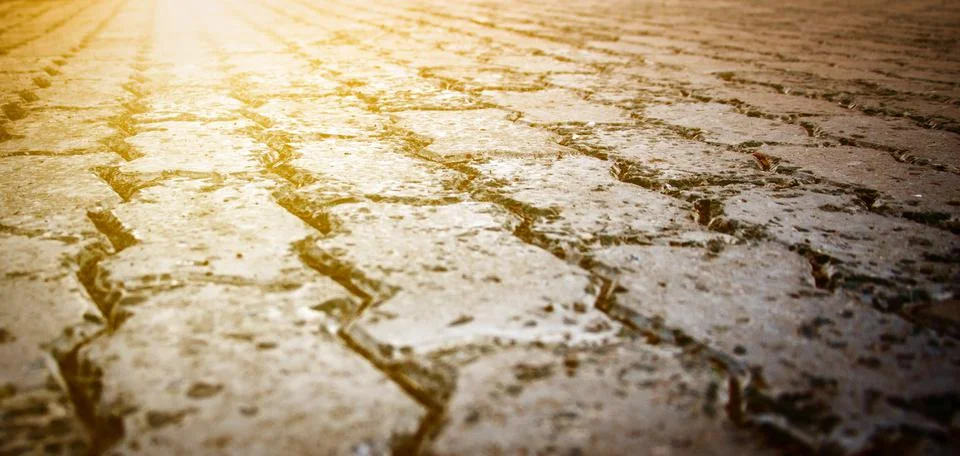 Paving stone Stock Photos