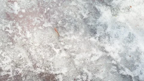 Paving stones covered with a layer of ice. Stock Footage 341316910