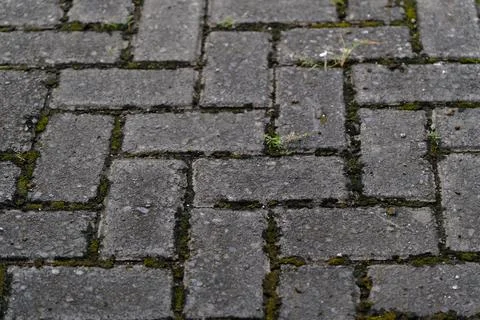Paving stones surface. Texture made of cement bricks Stock Photos