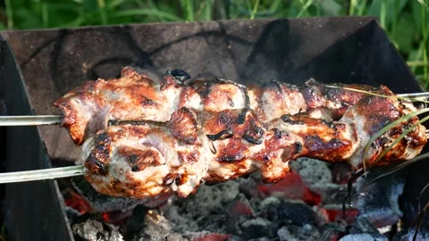 Pavlov's Reflex Stock Footage 150969280