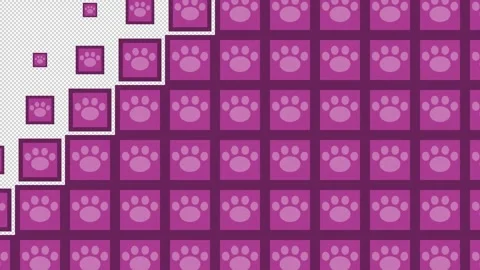 Paw Block tile wave Transitions. 1080p - 30 fps - Alpha Channel (4) Stock Footage 256093106