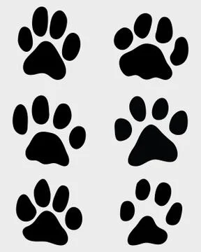 Paw of cats Stock Illustration