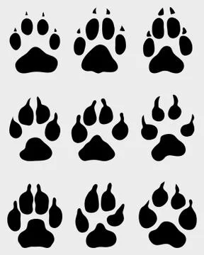 Paw of dogs Stock Illustration
