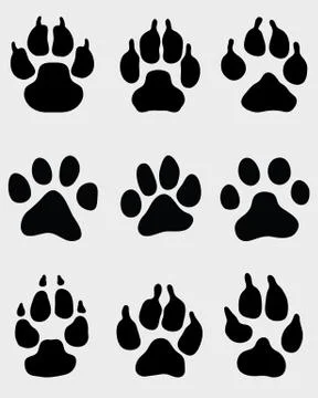 Paw of dogs Stock Illustration