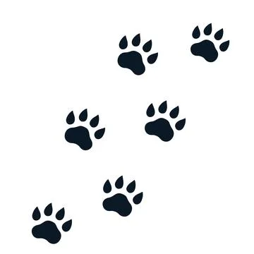 Paw footprints on white, vector Stock Illustration