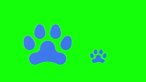 Paw on green background. Isolated 3D illustration Stock Footage 297092347
