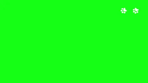 Paw icon on green screen, Cat or dog paw print Video stock 307705054