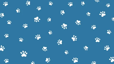 Paw pet seamless pattern, dog or cat footprint texture, animal background Stock Footage 250601802