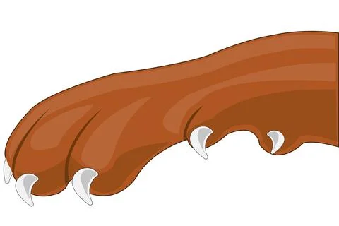 Paw pets dogs on white background is insulated Stock Illustration