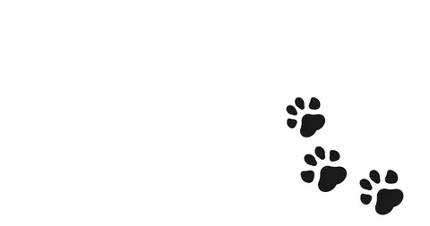 Paw Print animation with optional luma m... | Stock Video | Pond5