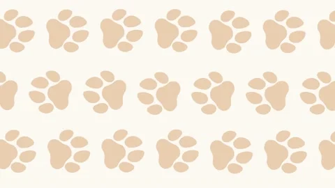 Paw print seamless Stock Footage 159332362