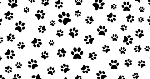 Paw print seamless pattern Stock Footage 130164942